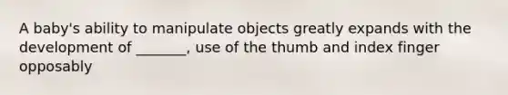 A baby's ability to manipulate objects greatly expands with the development of _______, use of the thumb and index finger opposably