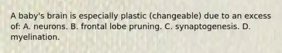 A baby's brain is especially plastic (changeable) due to an excess of: A. neurons. B. frontal lobe pruning. C. synaptogenesis. D. myelination.