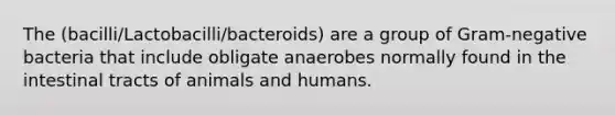 The (bacilli/Lactobacilli/bacteroids) are a group of Gram-negative bacteria that include obligate anaerobes normally found in the intestinal tracts of animals and humans.