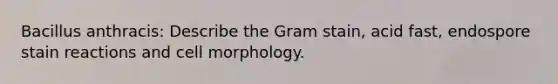 Bacillus anthracis: Describe the Gram stain, acid fast, endospore stain reactions and cell morphology.