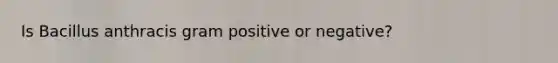 Is Bacillus anthracis gram positive or negative?