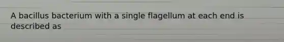 A bacillus bacterium with a single flagellum at each end is described as