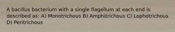 A bacillus bacterium with a single flagellum at each end is described as: A) Monotrichous B) Amphitrichous C) Lophotrichous D) Peritrichous