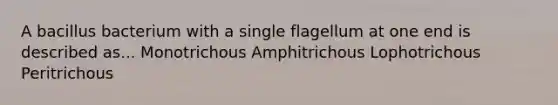 A bacillus bacterium with a single flagellum at one end is described as... Monotrichous Amphitrichous Lophotrichous Peritrichous