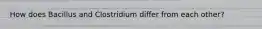 How does Bacillus and Clostridium differ from each other?