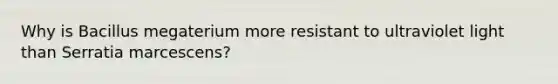 Why is Bacillus megaterium more resistant to ultraviolet light than Serratia marcescens?