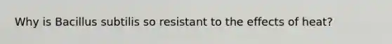 Why is Bacillus subtilis so resistant to the effects of heat?