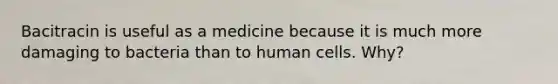 Bacitracin is useful as a medicine because it is much more damaging to bacteria than to human cells. Why?