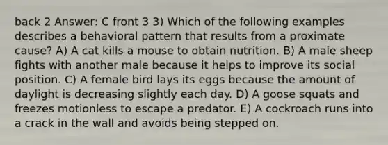 back 2 Answer: C front 3 3) Which of the following examples describes a behavioral pattern that results from a proximate cause? A) A cat kills a mouse to obtain nutrition. B) A male sheep fights with another male because it helps to improve its social position. C) A female bird lays its eggs because the amount of daylight is decreasing slightly each day. D) A goose squats and freezes motionless to escape a predator. E) A cockroach runs into a crack in the wall and avoids being stepped on.