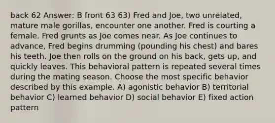 back 62 Answer: B front 63 63) Fred and Joe, two unrelated, mature male gorillas, encounter one another. Fred is courting a female. Fred grunts as Joe comes near. As Joe continues to advance, Fred begins drumming (pounding his chest) and bares his teeth. Joe then rolls on the ground on his back, gets up, and quickly leaves. This behavioral pattern is repeated several times during the mating season. Choose the most specific behavior described by this example. A) agonistic behavior B) territorial behavior C) learned behavior D) social behavior E) fixed action pattern