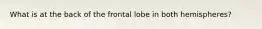 What is at the back of the frontal lobe in both hemispheres?