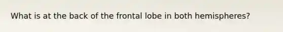 What is at the back of the frontal lobe in both hemispheres?