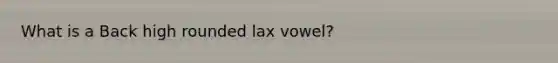 What is a Back high rounded lax vowel?