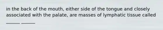 in the back of the mouth, either side of the tongue and closely associated with the palate, are masses of lymphatic tissue called ______ ______