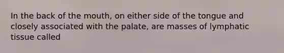 In the back of the mouth, on either side of the tongue and closely associated with the palate, are masses of lymphatic tissue called