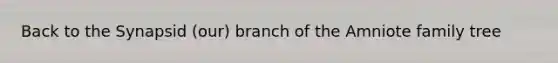 Back to the Synapsid (our) branch of the Amniote family tree