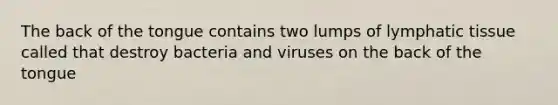 The back of the tongue contains two lumps of lymphatic tissue called that destroy bacteria and viruses on the back of the tongue