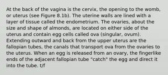 At the back of the vagina is the cervix, the opening to the womb, or uterus (see Figure 8.1b). The uterine walls are lined with a layer of tissue called the endometrium. The ovaries, about the size and shape of almonds, are located on either side of the uterus and contain egg cells called ova (singular, ovum). Extending outward and back from the upper uterus are the fallopian tubes, the canals that transport ova from the ovaries to the uterus. When an egg is released from an ovary, the fingerlike ends of the adjacent fallopian tube "catch" the egg and direct it into the tube. t/f