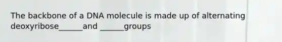 The backbone of a DNA molecule is made up of alternating deoxyribose______and ______groups