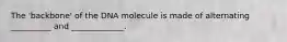 The 'backbone' of the DNA molecule is made of alternating __________ and _____________.