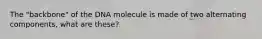 The "backbone" of the DNA molecule is made of two alternating components, what are these?