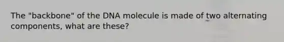 The "backbone" of the DNA molecule is made of two alternating components, what are these?