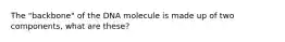 The "backbone" of the DNA molecule is made up of two components, what are these?