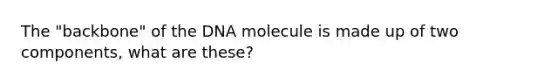 The "backbone" of the DNA molecule is made up of two components, what are these?