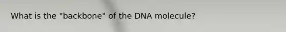 What is the "backbone" of the DNA molecule?