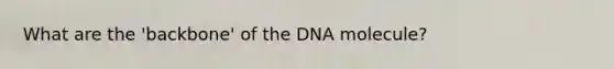 What are the 'backbone' of the DNA molecule?