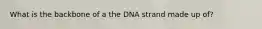 What is the backbone of a the DNA strand made up of?