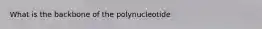 What is the backbone of the polynucleotide