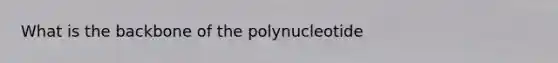 What is the backbone of the polynucleotide