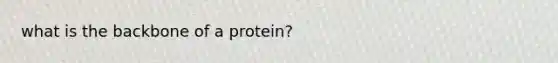 what is the backbone of a protein?