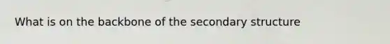 What is on the backbone of the <a href='https://www.questionai.com/knowledge/kRddrCuqpV-secondary-structure' class='anchor-knowledge'>secondary structure</a>