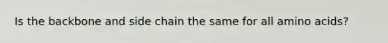 Is the backbone and side chain the same for all amino acids?