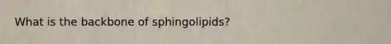 What is the backbone of sphingolipids?