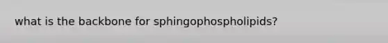 what is the backbone for sphingophospholipids?