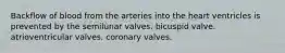 Backflow of blood from the arteries into the heart ventricles is prevented by the semilunar valves. bicuspid valve. atrioventricular valves. coronary valves.