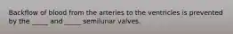 Backflow of blood from the arteries to the ventricles is prevented by the _____ and _____ semilunar valves.