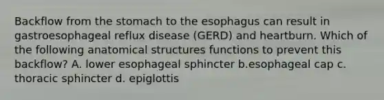 Backflow from the stomach to the esophagus can result in gastroesophageal reflux disease (GERD) and heartburn. Which of the following anatomical structures functions to prevent this backflow? A. lower esophageal sphincter b.esophageal cap c. thoracic sphincter d. epiglottis