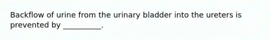 Backflow of urine from the urinary bladder into the ureters is prevented by __________.