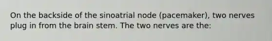 On the backside of the sinoatrial node (pacemaker), two nerves plug in from <a href='https://www.questionai.com/knowledge/kLMtJeqKp6-the-brain' class='anchor-knowledge'>the brain</a> stem. The two nerves are the: