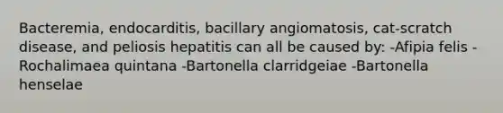 Bacteremia, endocarditis, bacillary angiomatosis, cat-scratch disease, and peliosis hepatitis can all be caused by: -Afipia felis -Rochalimaea quintana -Bartonella clarridgeiae -Bartonella henselae