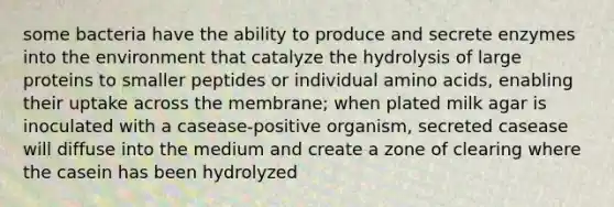 some bacteria have the ability to produce and secrete enzymes into the environment that catalyze the hydrolysis of large proteins to smaller peptides or individual amino acids, enabling their uptake across the membrane; when plated milk agar is inoculated with a casease-positive organism, secreted casease will diffuse into the medium and create a zone of clearing where the casein has been hydrolyzed