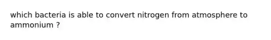 which bacteria is able to convert nitrogen from atmosphere to ammonium ?