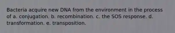 Bacteria acquire new DNA from the environment in the process of a. conjugation. b. recombination. c. the SOS response. d. transformation. e. transposition.