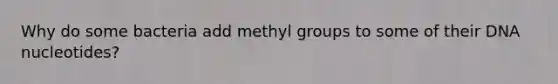 Why do some bacteria add methyl groups to some of their DNA nucleotides?