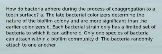 How do bacteria adhere during the process of coaggregation to a tooth surface? a. The late bacterial colonizers determine the nature of the biofilm colony and are more significant than the earlier colonizers b. Each bacterial strain only has a limited set of bacteria to which it can adhere c. Only one species of bacteria can attach within a biofilm community d. The bacteria randomly attach to one another