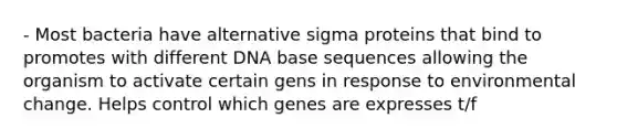 - Most bacteria have alternative sigma proteins that bind to promotes with different DNA base sequences allowing the organism to activate certain gens in response to environmental change. Helps control which genes are expresses t/f